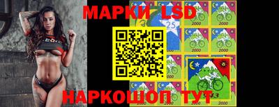 гашик Нальчик