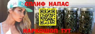 гидра Нарткала