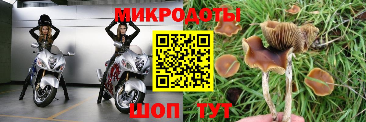 Ставрополь  Псилоцибиновые грибы мухоморы  Вход с VPN  Псилоцибиновые грибы MAGIC MUSHROOMS 